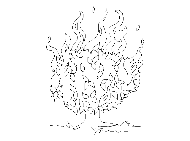 Burnbush.gif